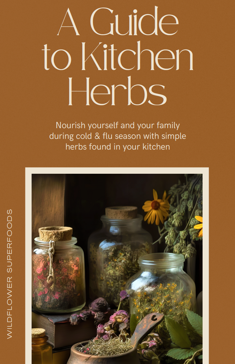 A Guide to Kitchen Herbs